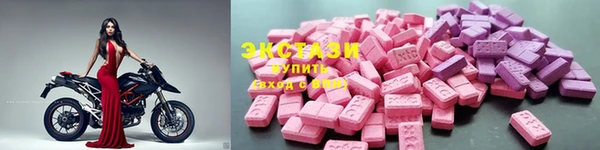 ECSTASY Алзамай