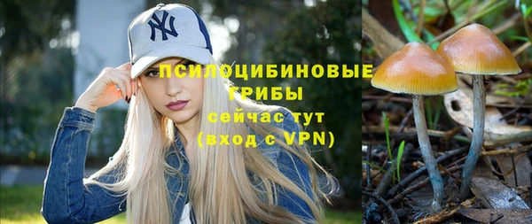 герыч Абинск