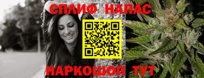 Альфа ПВП Аша