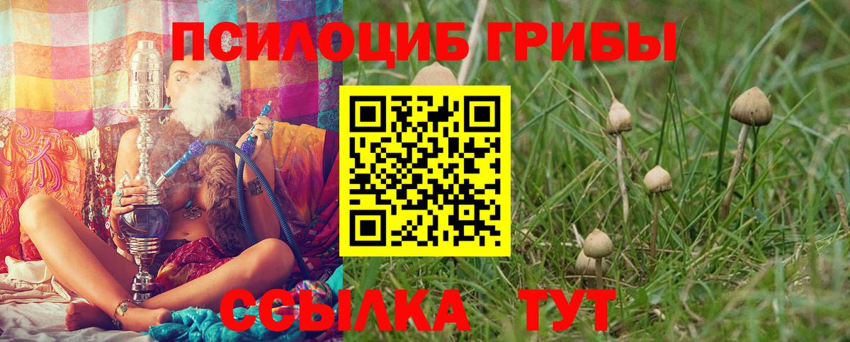 Галлюциногенные грибы GOLDEN TEACHER Барнаул