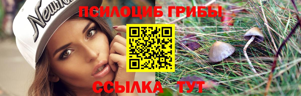 Галлюциногенные грибы Cubensis  Вход с VPN  Галлюциногенные грибы Psilocybine cubensis  продажа наркотиков  Барнаул 